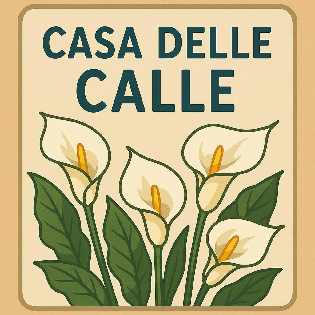 Casa Delle Calle * Torre Annunziata